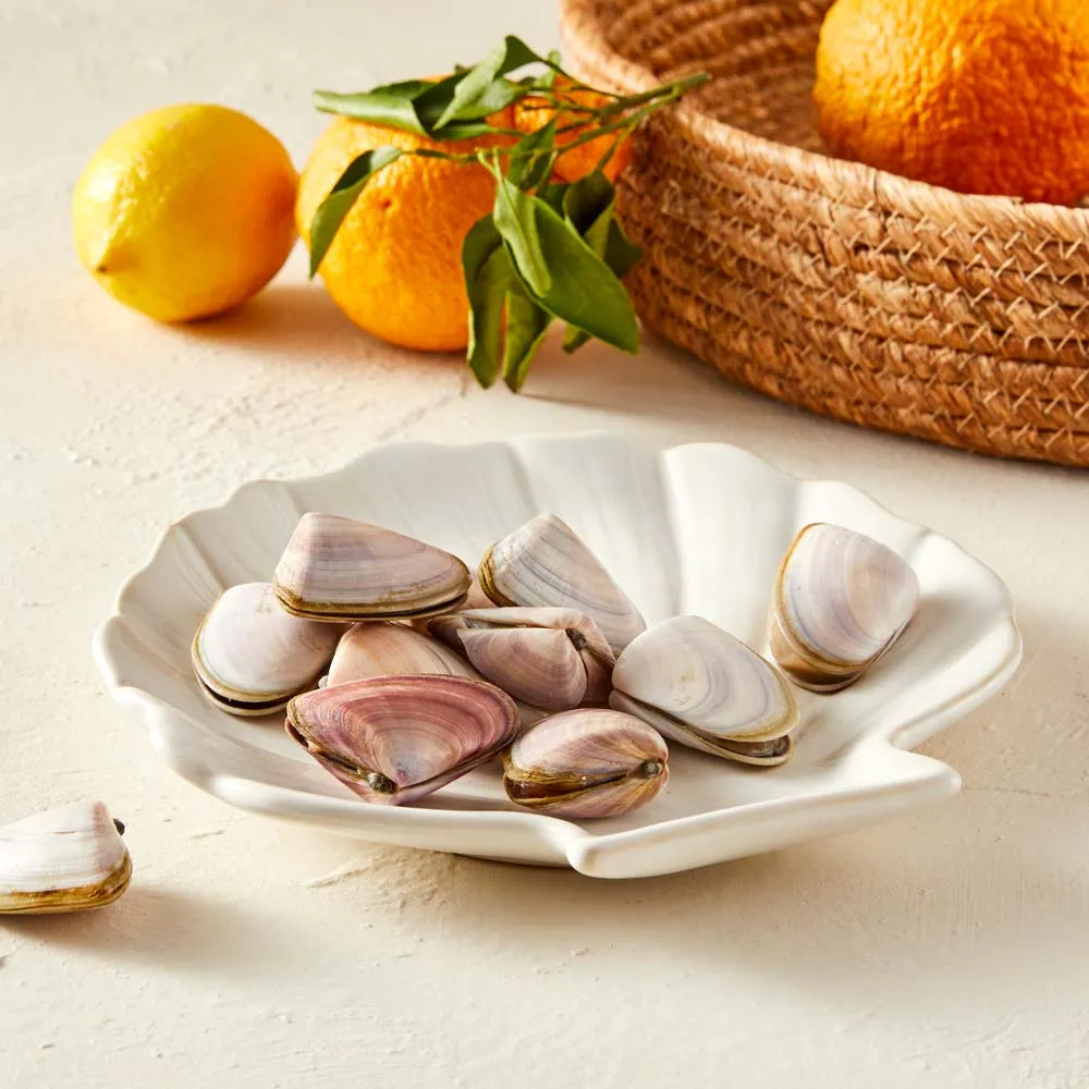 Ambrosia Azure Shell Platter 20cm