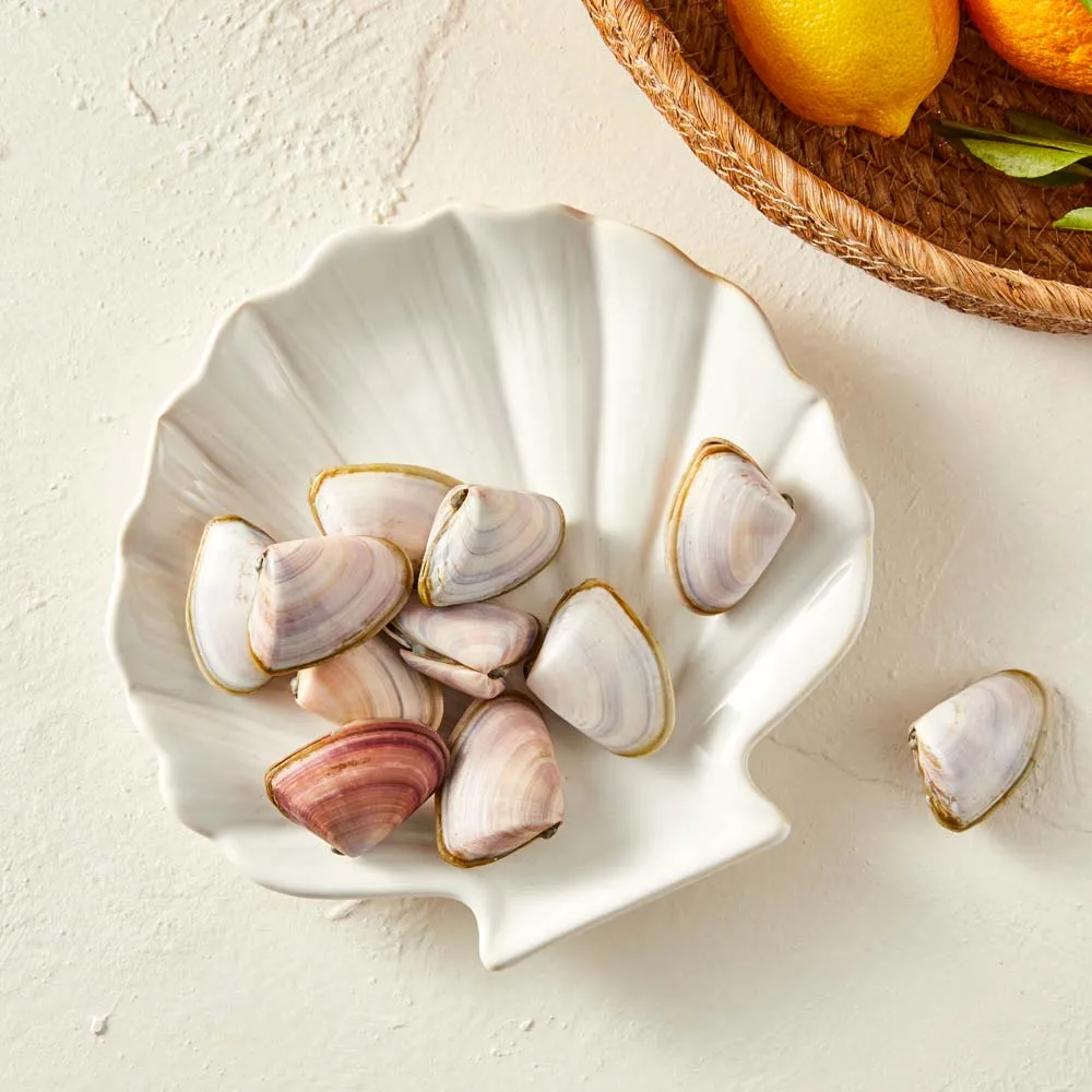 Ambrosia Azure Shell Platter 20cm