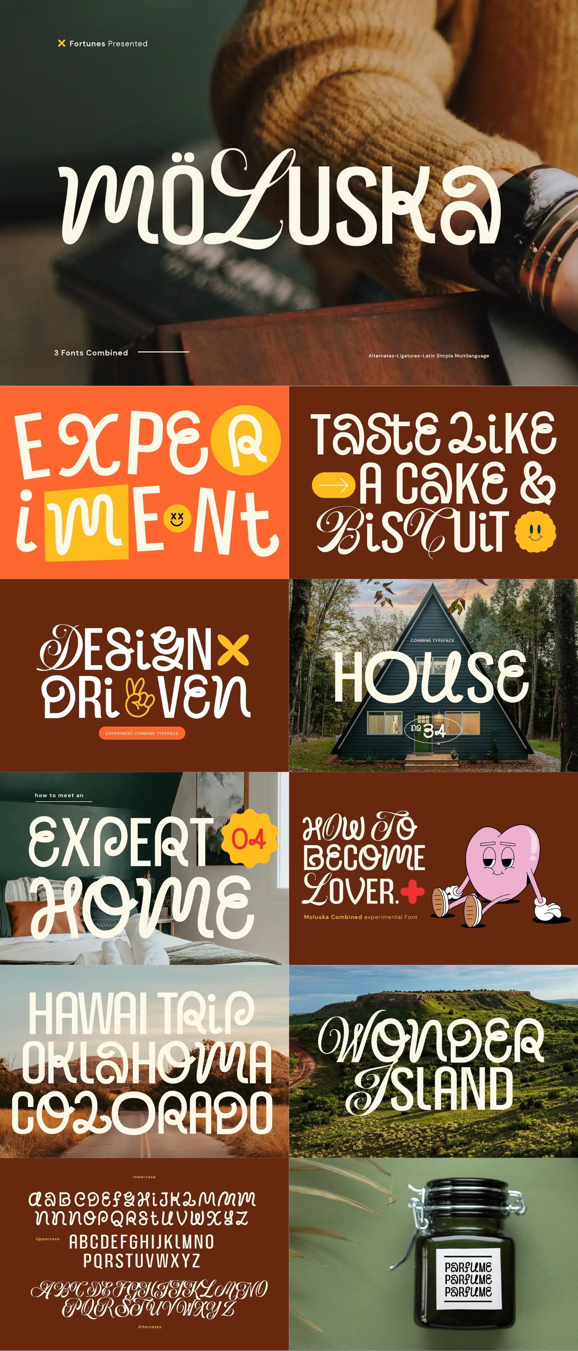 The Modern UI Font Bundle