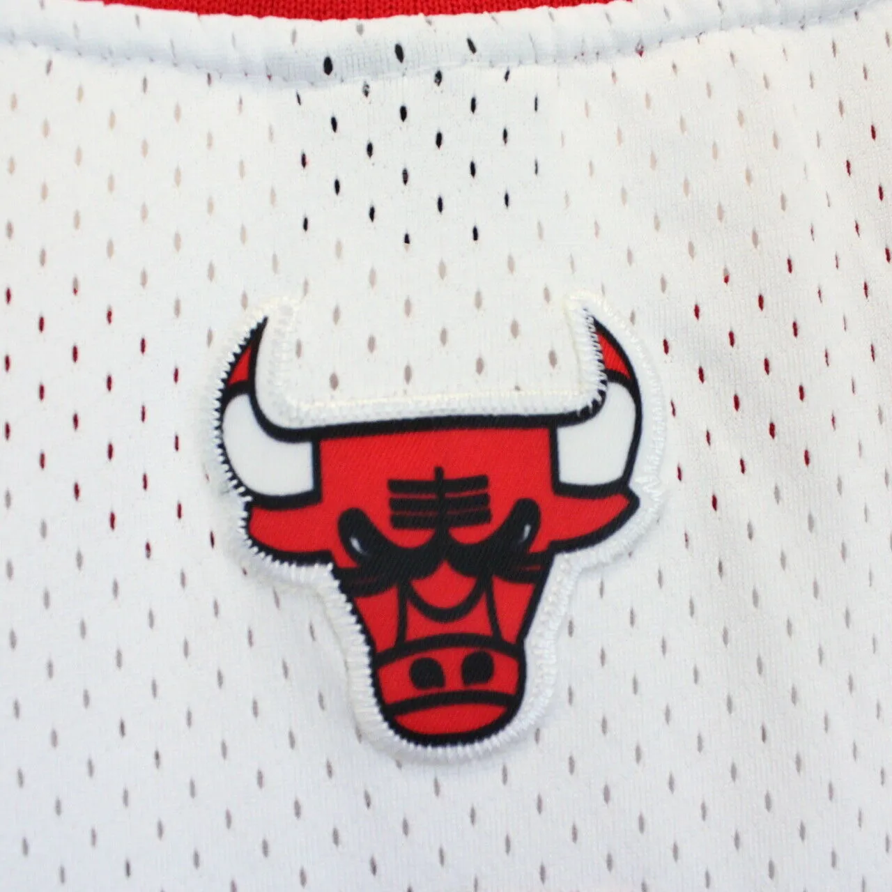 Vintage NIKE Chicago BULLS Jersey | XXL